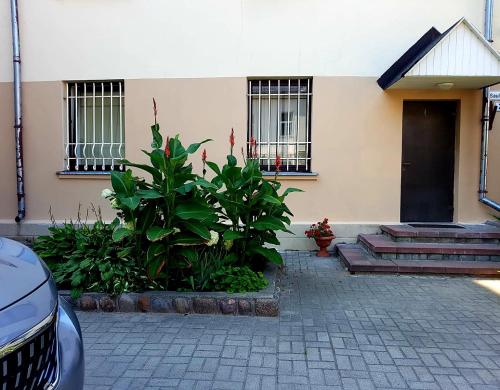 Фотография квартиры Saule