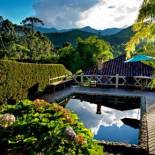 Фотография мини отеля Pousada Das Araucárias