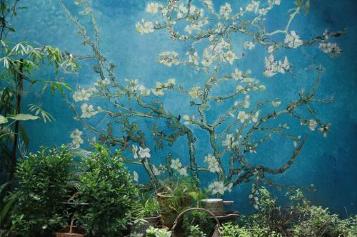 Фотографии хостела
Only Cafe and Backpacker