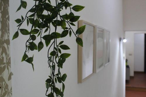 Фотография гостевого дома Santa Croce Exclusive