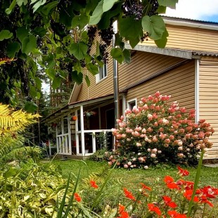 Фотография Коттеджа Дом у сосен