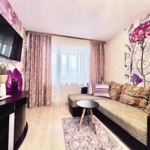 Фотография квартиры Апартаменты 51 Где Вас ждут Тепло Арктики на Маклакова, 52