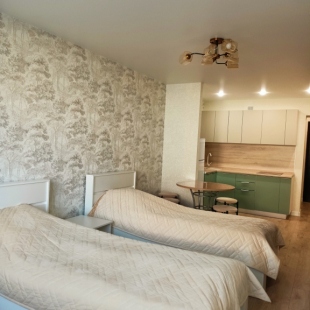 Фотография квартиры Апартаменты 23 на Симанина 14