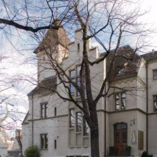 Фотографии гостиницы 
            hotel brasserie au violon