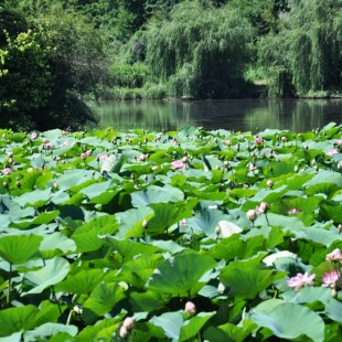 Фотография достопримечательности Майское озеро