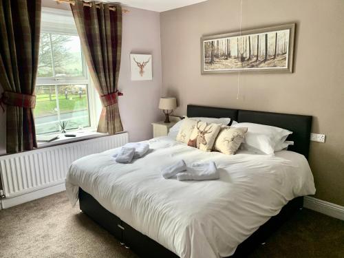 Фотографии мини отеля
The Clarendon Country Pub with rooms