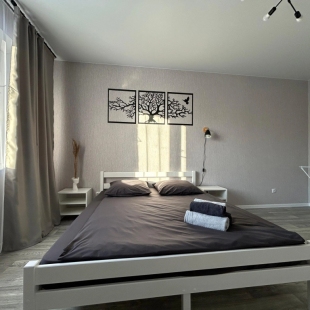 Фотография квартиры Квартира Уютная студия на Спортивной 41