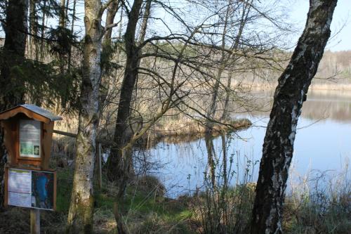 Фотография гостевого дома Hotel/Pension Rosengarten