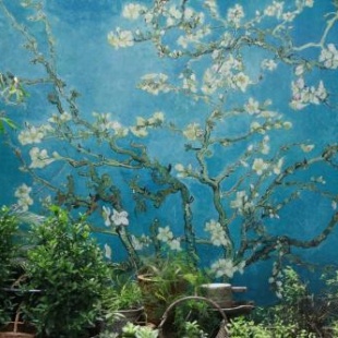 Фотография хостела Only Cafe and Backpacker