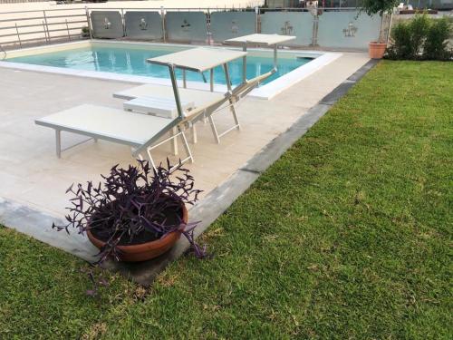 Фотография гостевого дома Veda elegant rooms