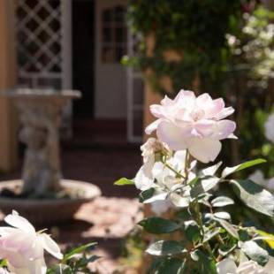 Фотографии мини отеля
Roses and Pebbles B & B Guest House