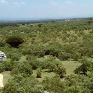 Фотографии гостевого дома
Shwari Cottages