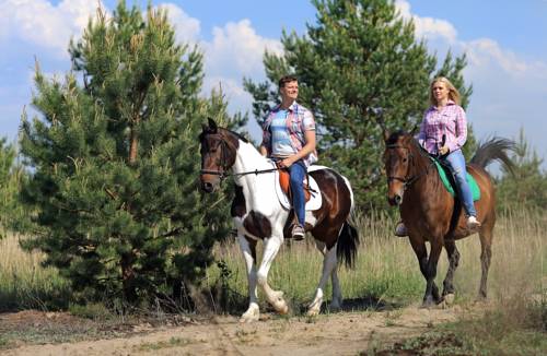 Фотография гостиницы Журавка