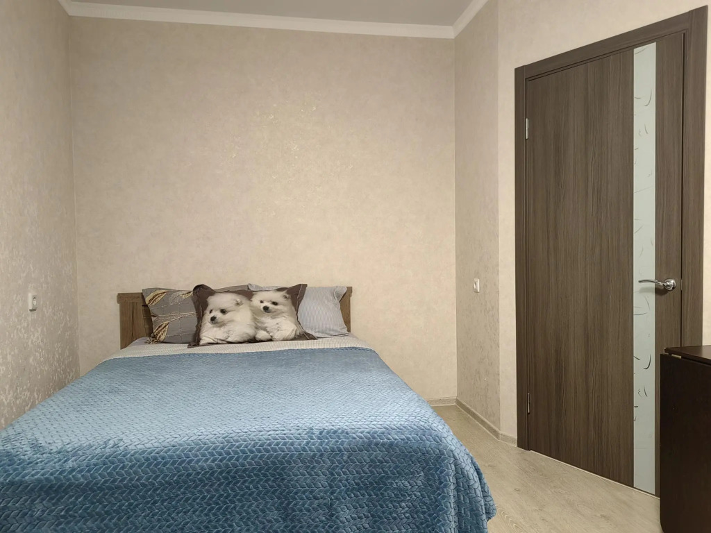 Фотография квартиры Апартаменты на улице Рогожникова 17