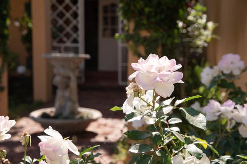 Фотография мини отеля Roses and Pebbles B & B Guest House