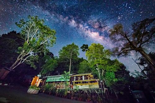 Фотографии гостиницы 
            Borneo Tropical Rainforest Resort
