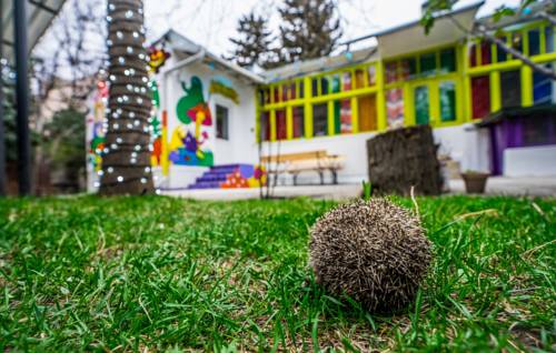 Фотографии хостела
Zgarbi Hostel