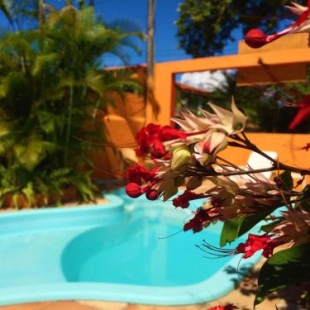 Фотография мини отеля Pousada Rota Tropicana