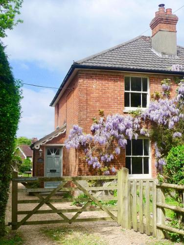 Фотография гостевого дома Twin Cottage, New Forest National Park