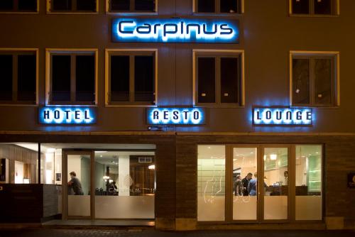 Фотография гостиницы Hotel Carpinus