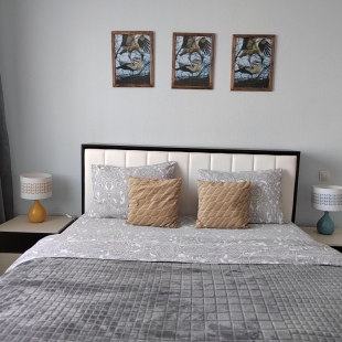 Фотография квартиры Апартаменты Трёхкомнатные у Экспофорума и Пушкина