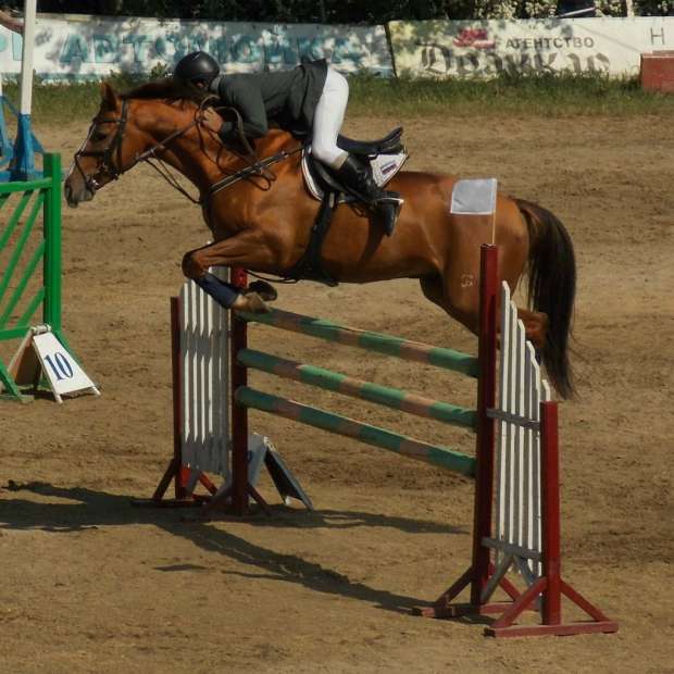 Фотография достопримечательности Конноспортивный клуб Панова