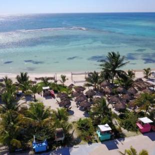 Фотографии гостиницы
Eco Cabañas Bluekay