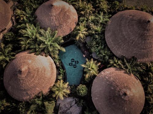 Фотография гостиницы Honai Resort