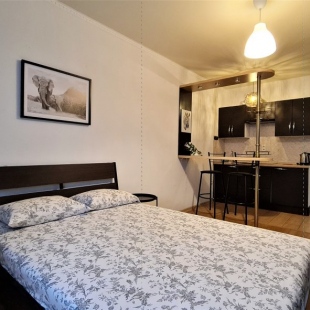 Фотография квартиры Апартаменты 2-я Володарского 176