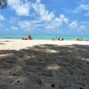 Фотографии гостевого дома 
            Appartement & Studio Lolla