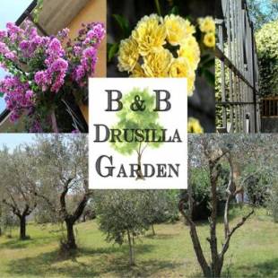 Фотографии мини отеля 
            B&B Drusilla Garden