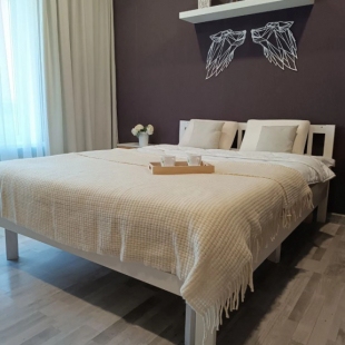 Фотография квартиры Апартаменты на Торговой 132