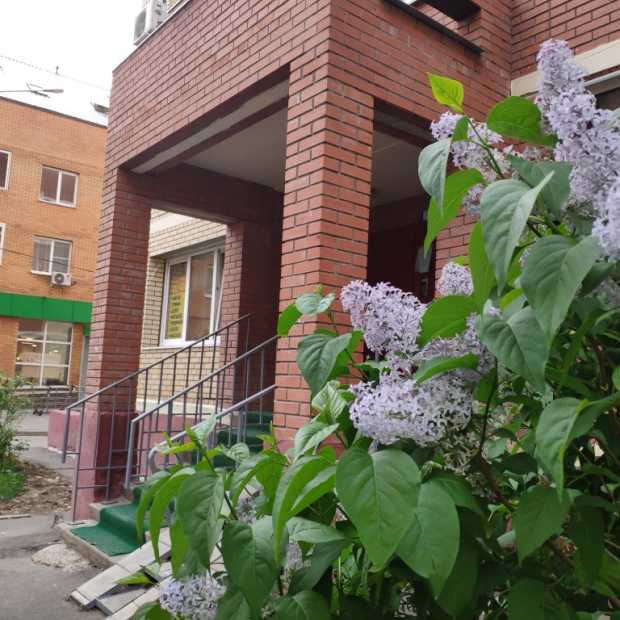 Фотографии квартиры
Апартаменты на Староандреевской