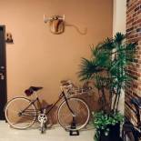 Фотография мини отеля Visual Range B&B