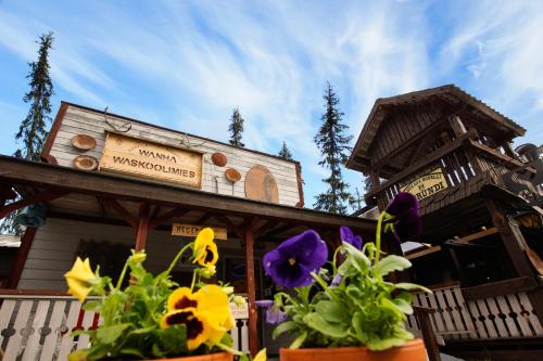 Фотография гостиницы Tankavaara Gold Village