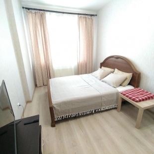 Фотография квартиры Квартира Евродвухкомнатная на Революции, 52 Б