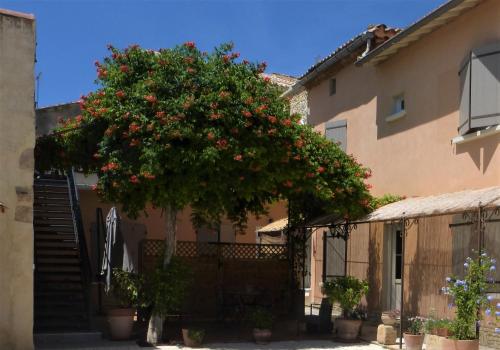 Фотография мини отеля Maison d'hôtes La Bignone