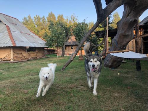 Фотографии гостевого дома
Старки