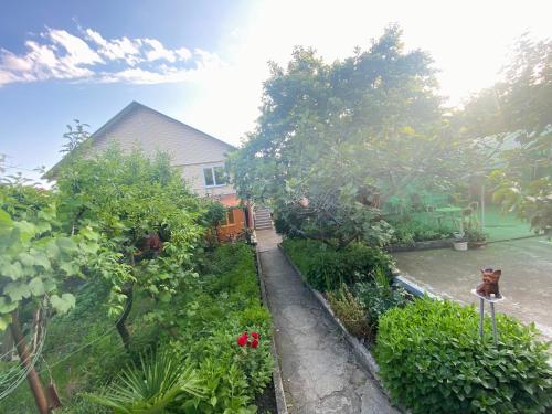 Фотография гостевого дома Дельфинчик