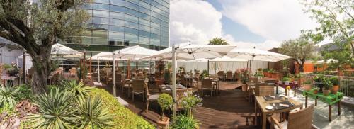 Фотография гостиницы Hilton Geneva Hotel and Conference Centre