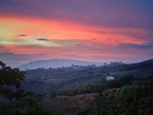 Фотография хостела La Pacha Hostel