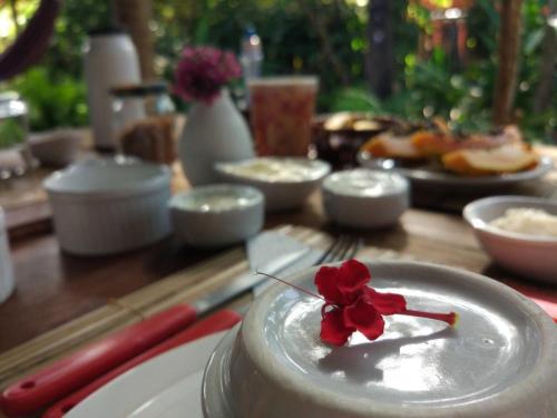 Фотография мини отеля Pousada Spa Oasis