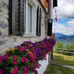 Фотографии мини отеля
La Bola