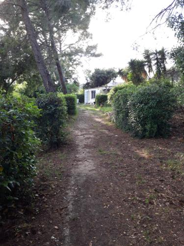 Фотографии гостевого дома 
            Gîte " Le Clos de la Pinède "