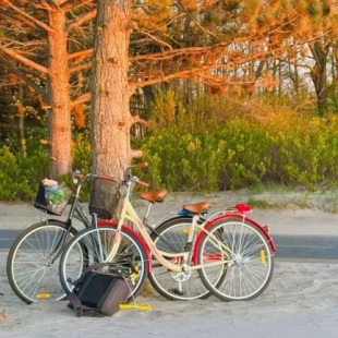 Фотография квартиры Апартаменты 39квартир с бесплатной арендой велосипедов