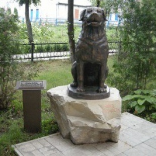 Фотография памятника Памятник Собаке