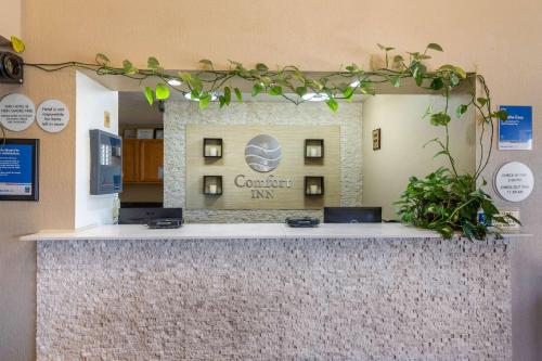 Фотография гостиницы Comfort Inn Near Gila National Forest