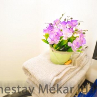 Фотография гостевого дома homestay mekar idaman