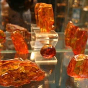 Фотография музея Музей янтаря