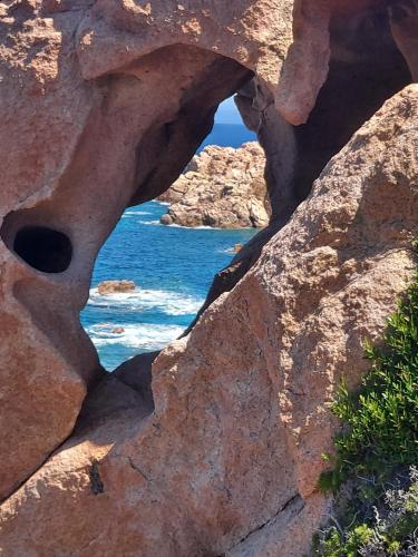 Фотография гостевого дома Villa Alessandra